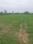 Dharmawala Main Image 1