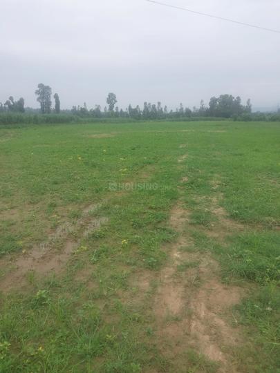 Dharmawala Main Image 1