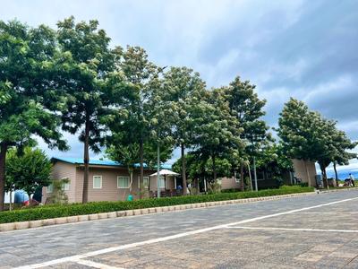 Residential Plot