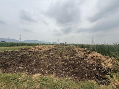 Residential Plot