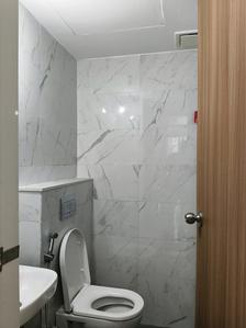 Common Bathroom Image of 680 Sq.ft 1 BHK Apartment / Flat for sale in Lodha Palava Premier, Dombivli East Thane for Rs. 4300000