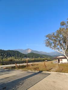 Bhauwala Plot View 2