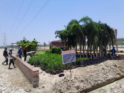 Image of 1000 Sq.ft Residential Plot / Land for sale in The Palm Valley, Anora Kala, Lucknow for Rs. 3399000