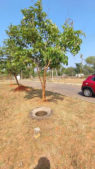 Subha Maple Meadows VIII Main Image 1