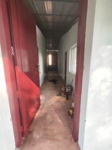 Image of 900 Sq.ft 3 BHK Independent House for rent in Pangodu, Thiruvananthapuram for Rs. 7000