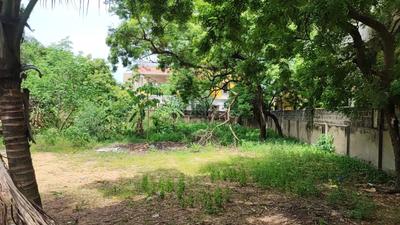 Residential Plot