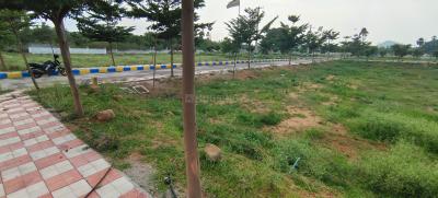 Residential Plot