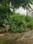 Chandar Nagar, Race Course Plot View 2