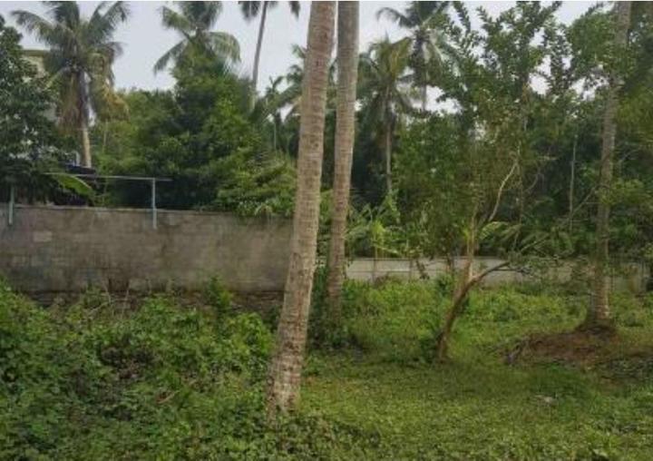 Koonammavu Main Image 1