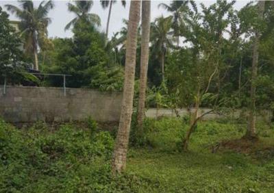 Image of 56200 Sq.ft Residential Plot / Land for sale in Koonammavu, Kochi for Rs. 550000