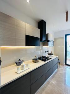 Kitchen Image of 2430 Sq.ft 4 BHK Builder Floor for sale in Palm Ardee City 3, Sector 52 Gurgaon for Rs. 28500000