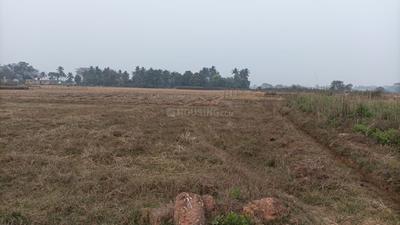 Image of 2000 Sq.ft Residential Plot / Land for sale in Dhaua, Bhubaneswar for Rs. 2000000