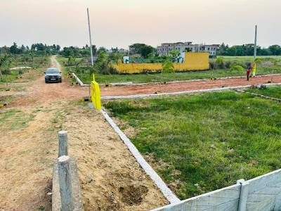 Balianta Plot View 3