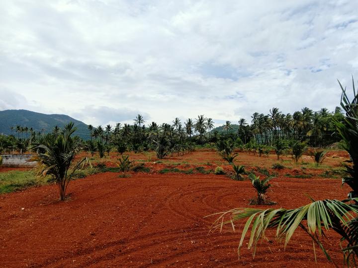 Vallalar Nagar, Bilichi Main Image 1