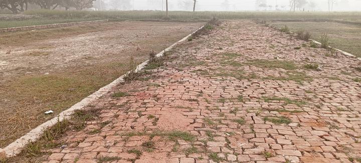 Sarnath Main Image 1