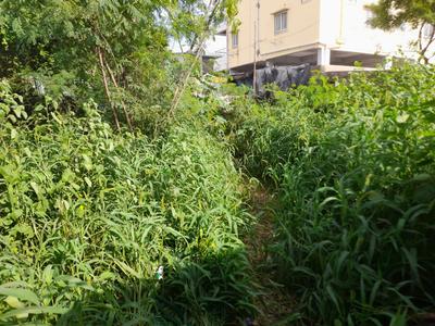 Residential Plot
