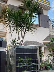 Image of 3040 Sq.ft 5 BHK Independent House for sale in Dalanwala, Dehradun for Rs. 48500000