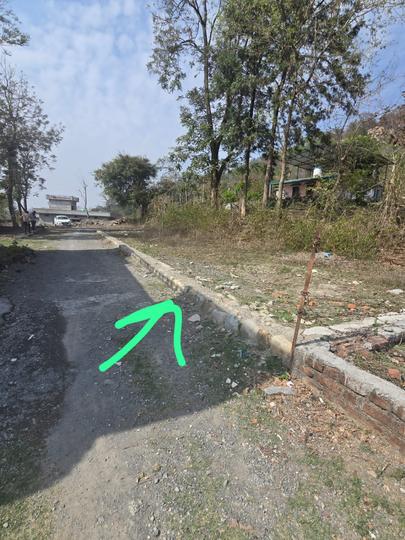 Soda Saroli Main Image 1