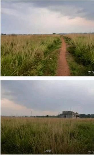 Sundarpada Main Image 1