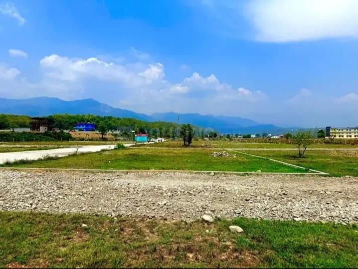 Tilwari Main Image 1