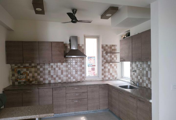 Tulip Violet Main Image 1