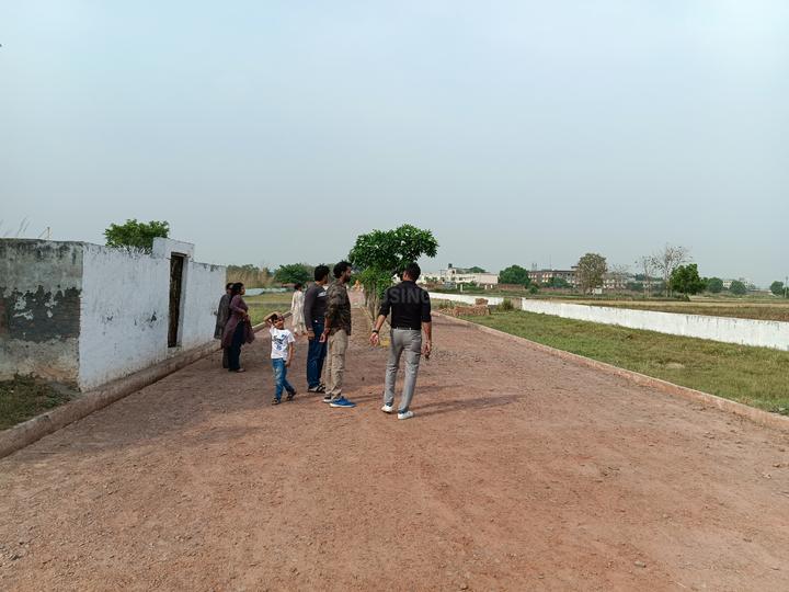 Golden feet Main Image 1