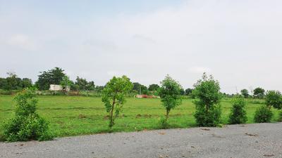 Image of 6000 Sq.ft Residential Plot / Land for sale in Sejbahar, Raipur for Rs. 4500000