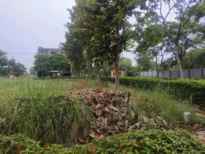 Residential Plot