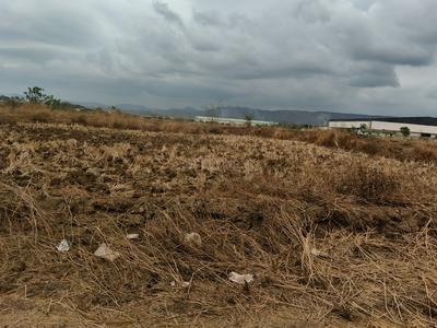 Residential Plot