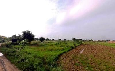 Image of 4047 Sq.ft Residential Plot / Land for sale in Palwal, Hodal for Rs. 66000000