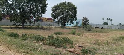 Residential Plot