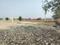 Fatehpur Plot View 2