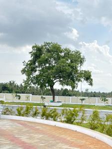 Image of 800 Sq.ft Residential Plot / Land for sale in Vaiyampalayam, Coimbatore for Rs. 2736000