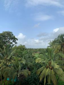Image of 1636 Sq.ft 3 BHK Penthouse for sale in Naroo Palmanova, Panjim, Goa for Rs. 25000000