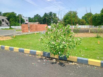Residential Plot
