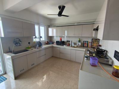 Kitchen Image of 1600 Sq.ft 3 BHK Apartment / Flat for rent in Jagatpura Jaipur for Rs. 29000