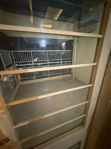 Balcony Image of 3000 Sq.ft 3 BHK Apartment / Flat for rent in Vertical Oriana, Mundhwa Pune for Rs. 55000