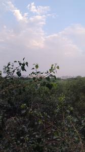 Balcony Image of 450 Sq.ft 1 BHK Builder Floor for sale in Sheikh Sarai New Delhi for Rs. 2200000