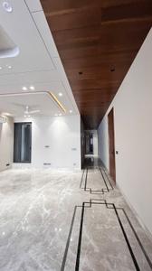 Hall Image of 2250 Sq.ft 3 BHK Builder Floor for sale in Greater Kailash II New Delhi for Rs. 82500000