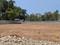 Madanapuram Plot View 2