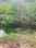 Shanti vihar Main Image 1