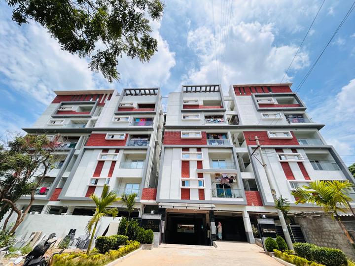 Planet 40 Main Image 1