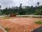 Pinarmunda plots Plot View 2