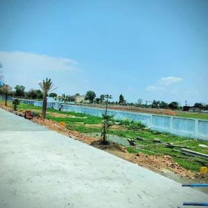 Image of 1000 Sq.ft 2 BHK Independent House for sale in Tilhari, Jabalpur for Rs. 1000000