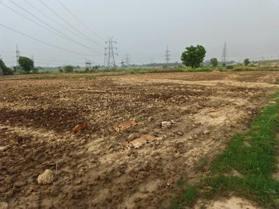 Image of 15000 Sq.ft 12 BHK Villa for sale in Harris Ganj, Kanpur for Rs. 10000000