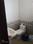 GREEN VALLEY KHARAR Bathroom 1