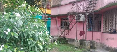 JAFFARPUR PATHAGAR Plot View 2