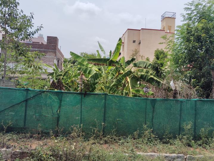 Vijay Nagar Main Image 1