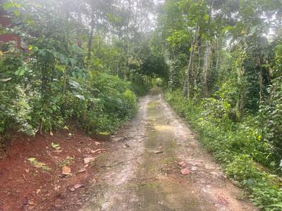Image of 3000 Sq.ft 4 BHK Farm House for sale in Rajakkad, Idukki for Rs. 26000000