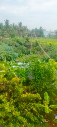 Thuraimangalam More Images 1